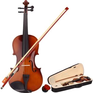 Full Size Violin Outfit 4/4 With All Ebony Fittings